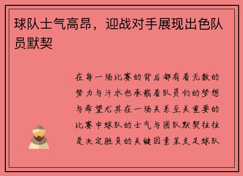 球队士气高昂，迎战对手展现出色队员默契