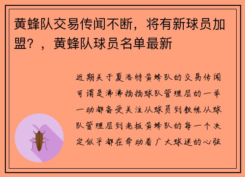 黄蜂队交易传闻不断，将有新球员加盟？，黄蜂队球员名单最新