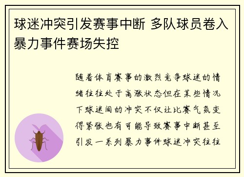 球迷冲突引发赛事中断 多队球员卷入暴力事件赛场失控