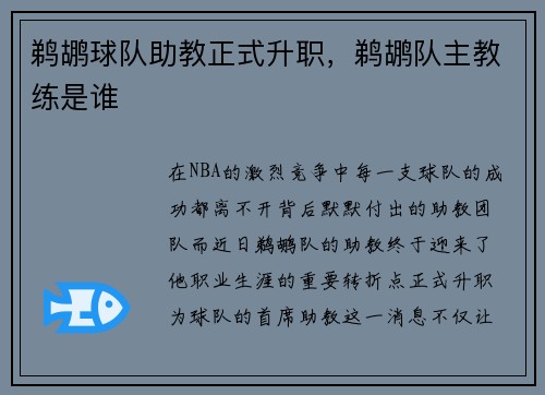 鹈鹕球队助教正式升职，鹈鹕队主教练是谁